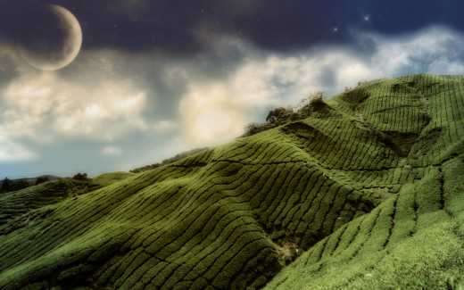 494146 (a): :1680x1050
